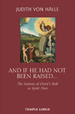 Book Cover for AND IF HE HAD NOT BEEN RAISED...