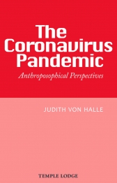 Book Cover for THE CORONAVIRUS PANDEMIC