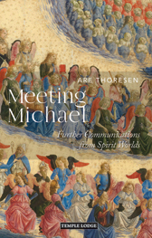 Book Cover for MEETING MICHAEL