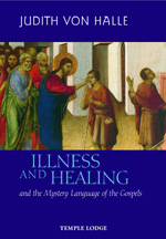 Book Cover for ILLNESS AND HEALING