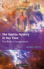 Book Cover for THE SOPHIA MYSTERY IN OUR TIME