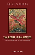Book Cover for THE HEART OF THE MATTER