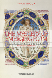Book Cover for THE MYSTERY OF EMERGING FORM