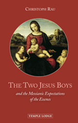 Book Cover for THE TWO JESUS BOYS