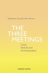 Book Cover for THE THREE MEETINGS